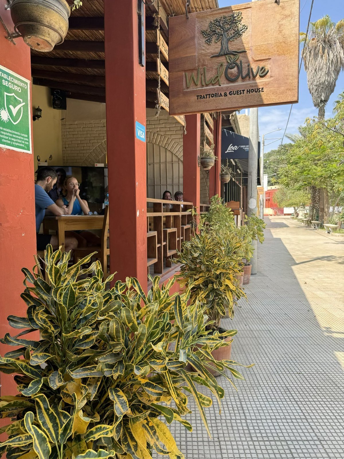 Entrada y terraza de Wild Olive con comensales en Huacachina